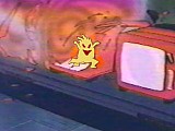 Mayhem at the TV factory!