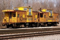 Chessie Cat at Grand Blanc