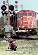 Train Watching at Durand East