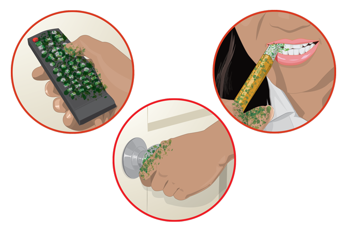 R180 Germ Illustration